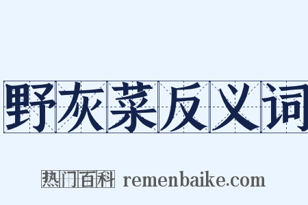 野灰菜反义词是什么意思的图片